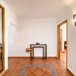 公寓 Spacious In Ideal For Families #1938 *